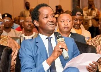 La Guinée avant tout (Par Alpha Abdoulaye Diallo)