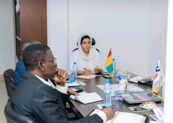 Renforcement de l’entrepreneuriat des jeunes : le Patronat guinéen échange avec la BAD