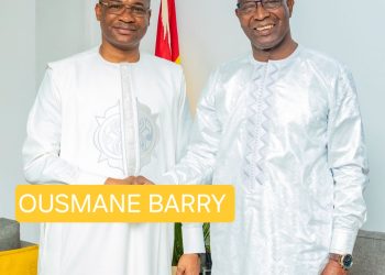 Diplomatie : Ces profils discrets qui font avancer la Guinée