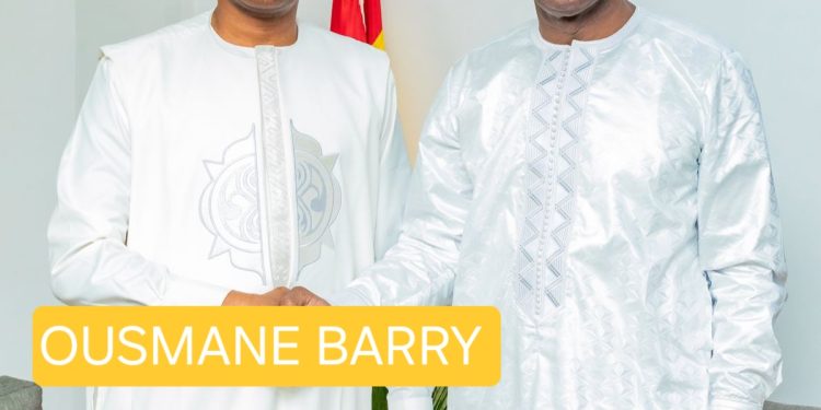 Diplomatie : Ces profils discrets qui font avancer la Guinée