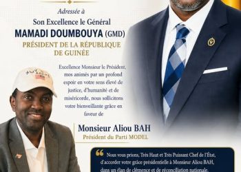 Guinée : l’Ambassadeur Mamadou Bhoye Baldé appelle à un report des élections et à des mesures d’apaisement