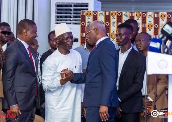 Mise en place du Fonds souverain de Guinée : le secteur privé guinéen en première ligne